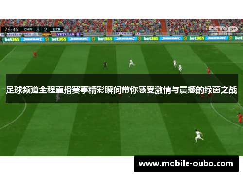 足球频道全程直播赛事精彩瞬间带你感受激情与震撼的绿茵之战