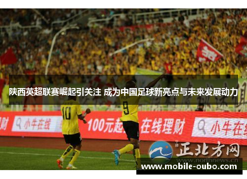 陕西英超联赛崛起引关注 成为中国足球新亮点与未来发展动力